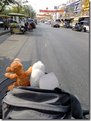 Ride round Ayutthaya (8)